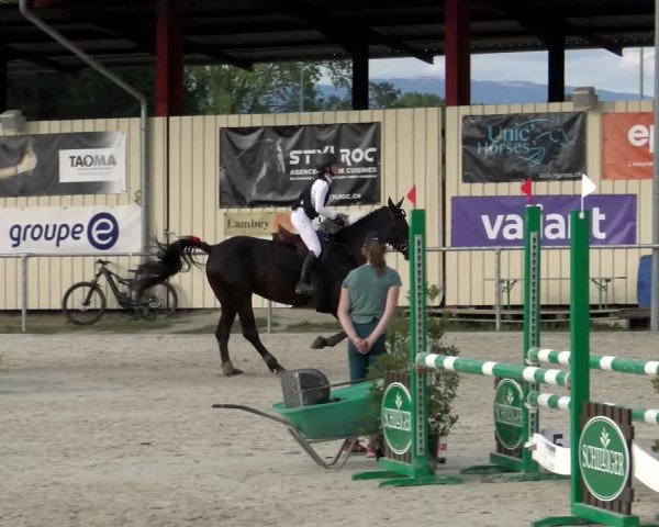 Reitturnier Dompierre 2022
