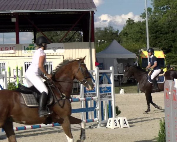 Reitturnier Dompierre 2022