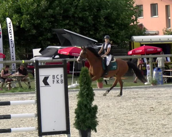 Reitturnier Dompierre 2022