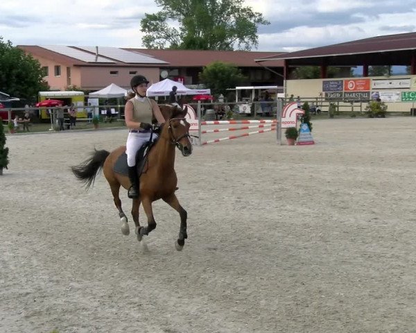 Reitturnier Dompierre 2022