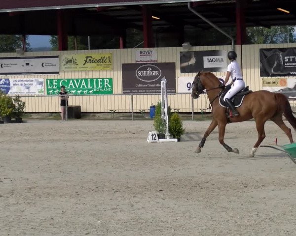 Reitturnier Dompierre 2022