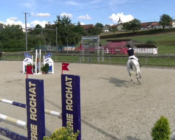 Reitturnier Dompierre 2022