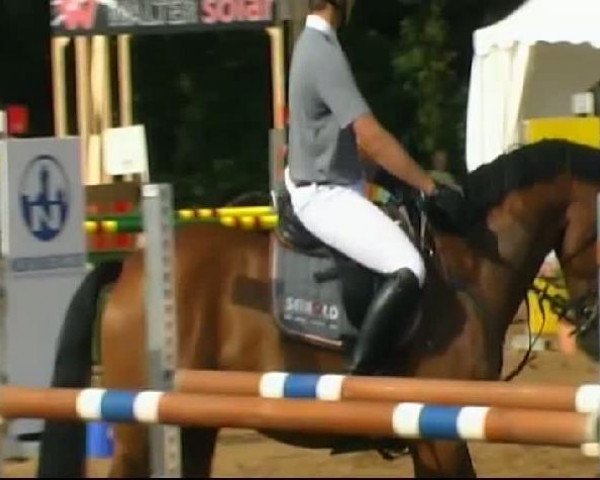 jumper Enrico 302 (Hanoverian, 2004, from Escudo I)