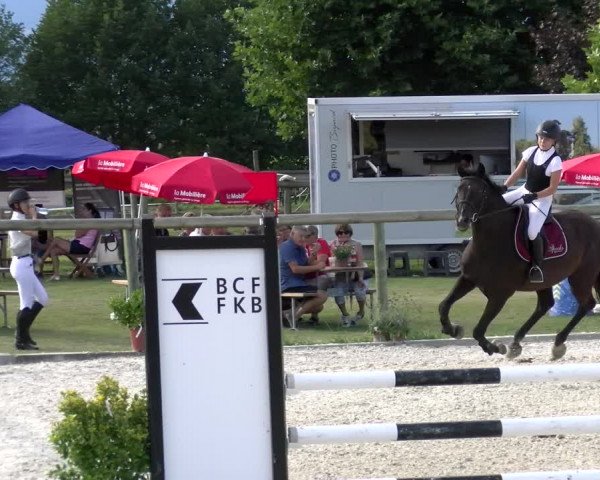 Reitturnier Dompierre 2022