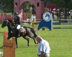 jumper Cooper 68 (Hanoverian, 2002, from Contendro I)
