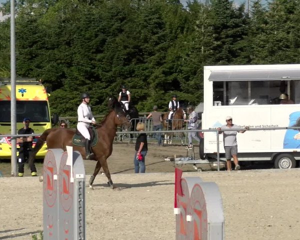 Reitturnier Dompierre 2022