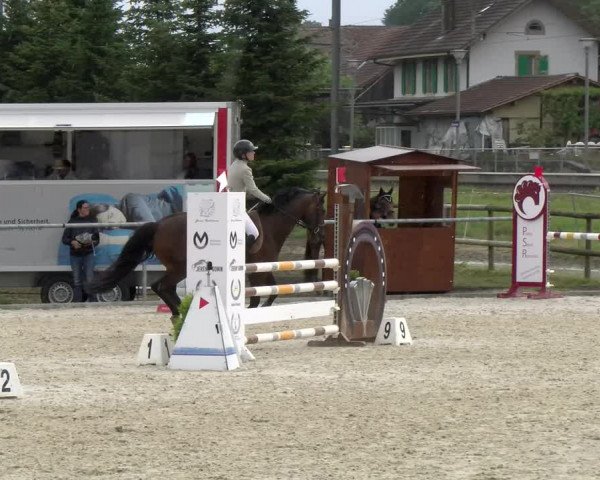 Reitturnier Dompierre 2022