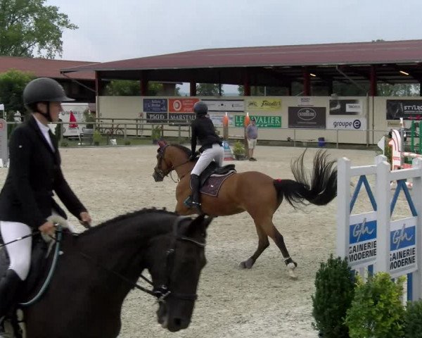 Reitturnier Dompierre 2022