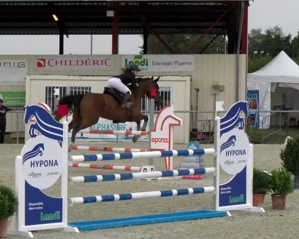 Reitturnier Dompierre 2022