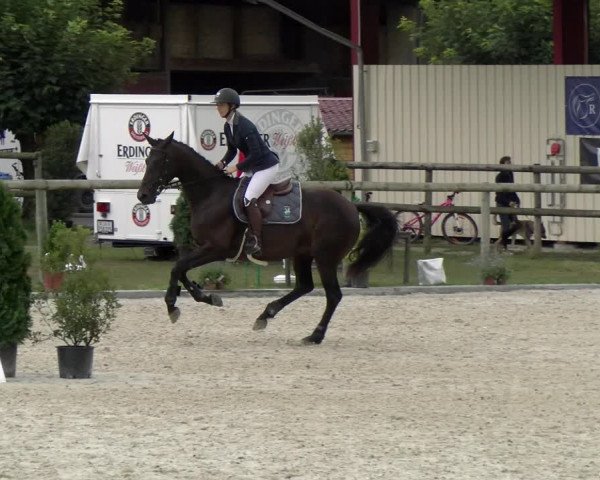 Reitturnier Dompierre 2022