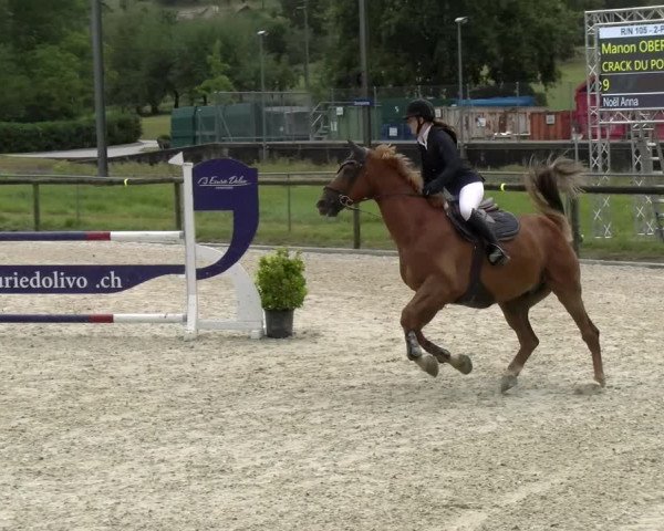 Reitturnier Dompierre 2022