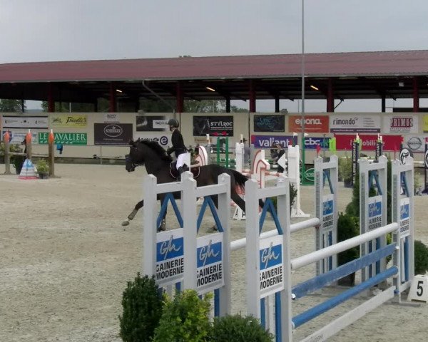 Reitturnier Dompierre 2022