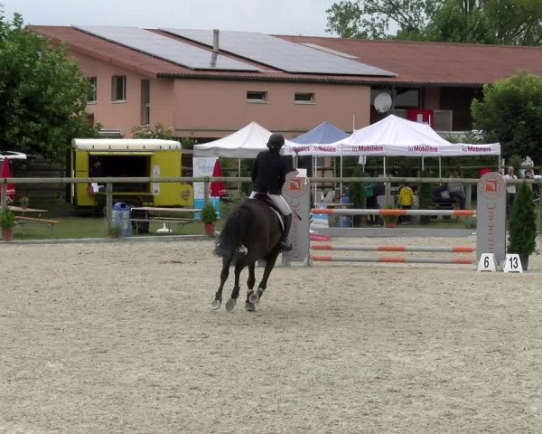 Reitturnier Dompierre 2022