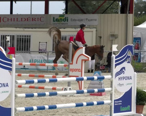 Reitturnier Dompierre 2022