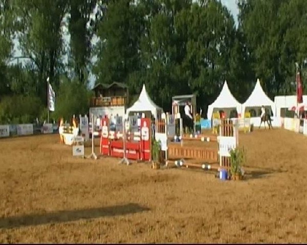Pferd En Vogue W (Hannoveraner, 2004, von Escudo I)