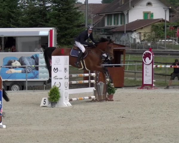 Reitturnier Dompierre 2022