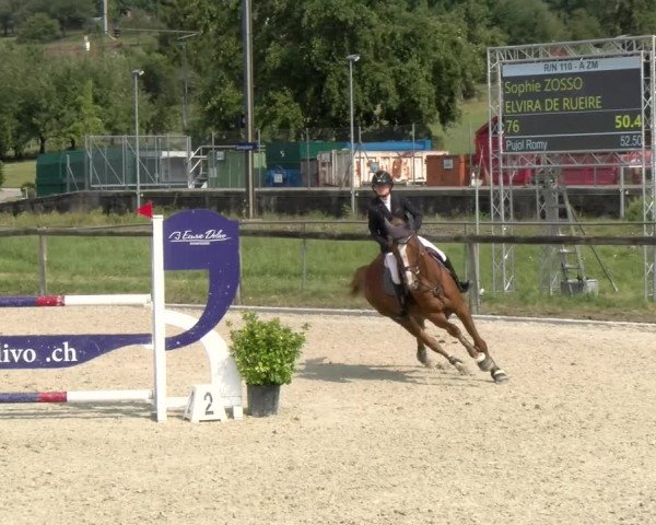 Reitturnier Dompierre 2022