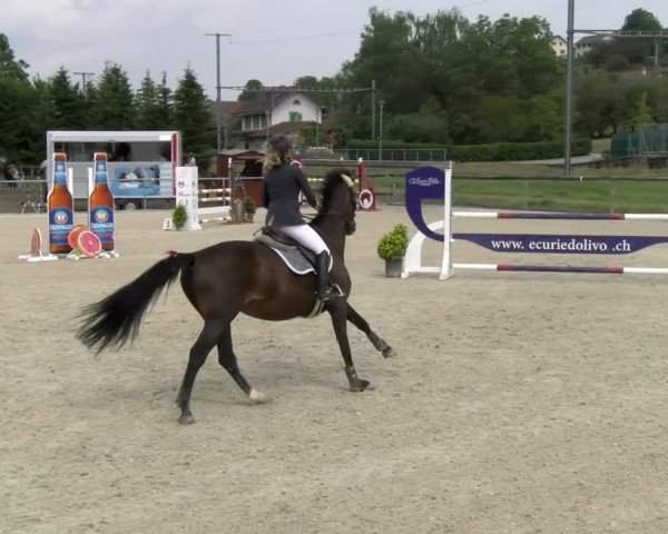 Reitturnier Dompierre 2022