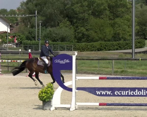 Reitturnier Dompierre 2022
