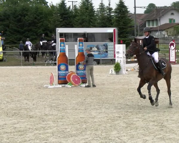 Reitturnier Dompierre 2022