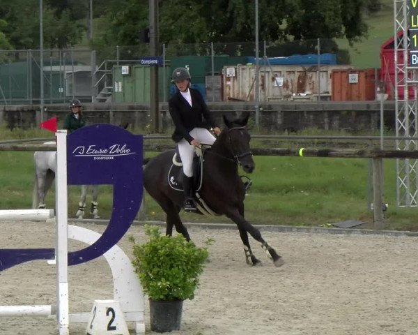 Reitturnier Dompierre 2022