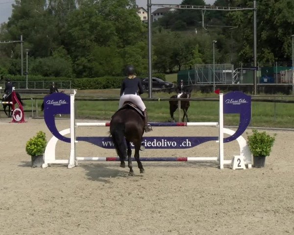 Reitturnier Dompierre 2022