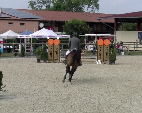 Reitturnier Dompierre 2022