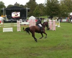 broodmare Raingel (KWPN (Royal Dutch Sporthorse), 1998, from Lincoln)