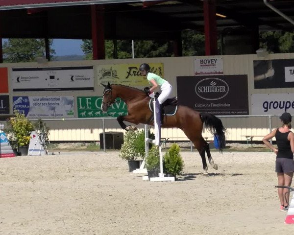 Reitturnier Dompierre 2022