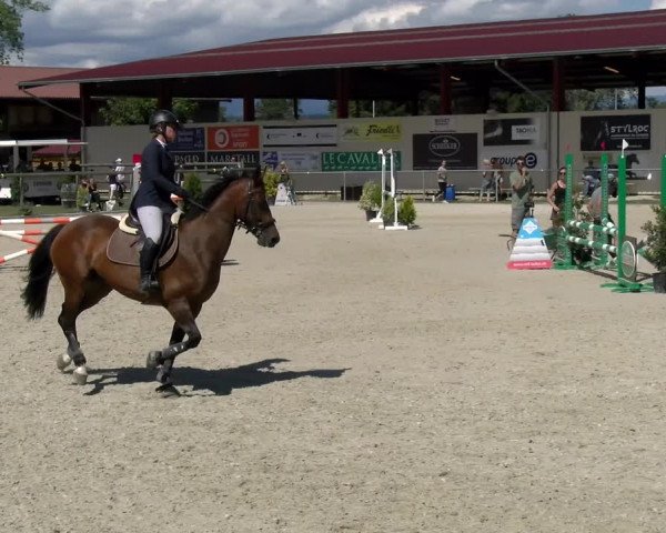 Equestrian Show Dompierre 2022