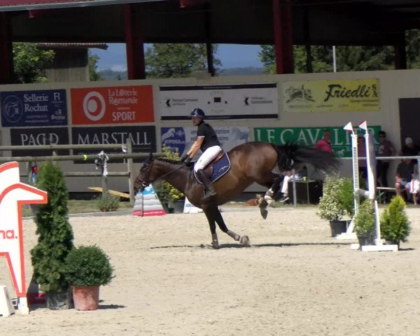 Reitturnier Dompierre 2022