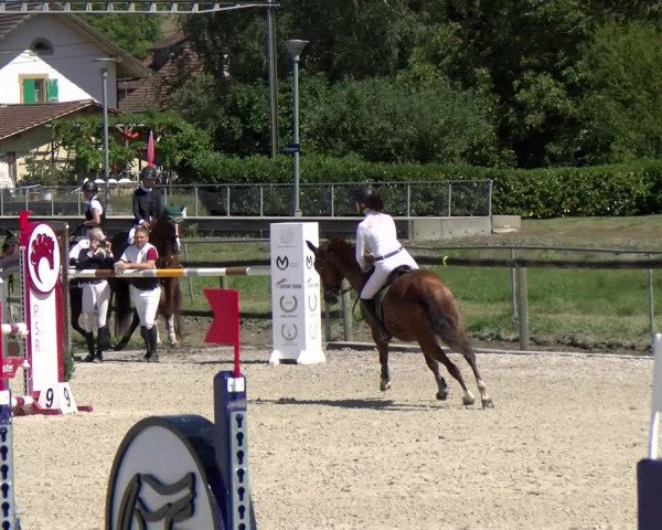 Reitturnier Dompierre 2022