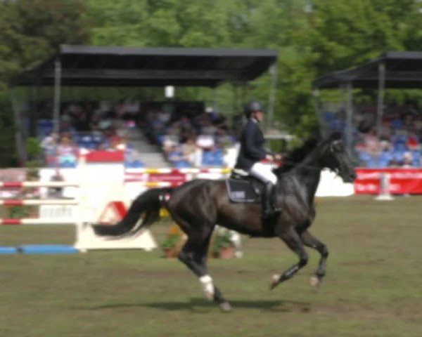 Reitturnier Aschersleben 2022