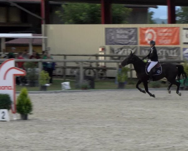 Reitturnier Dompierre 2022