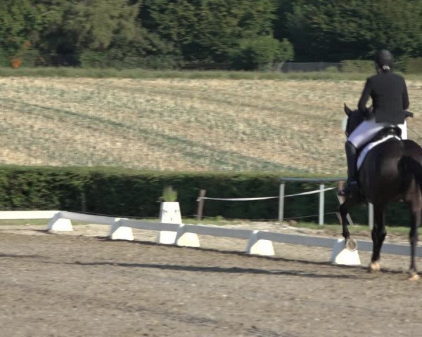 Heinsberg Classics 2022