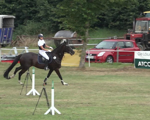 Reitturnier Kellinghusen 2022
