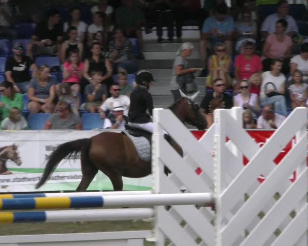 Reitturnier Aschersleben 2022