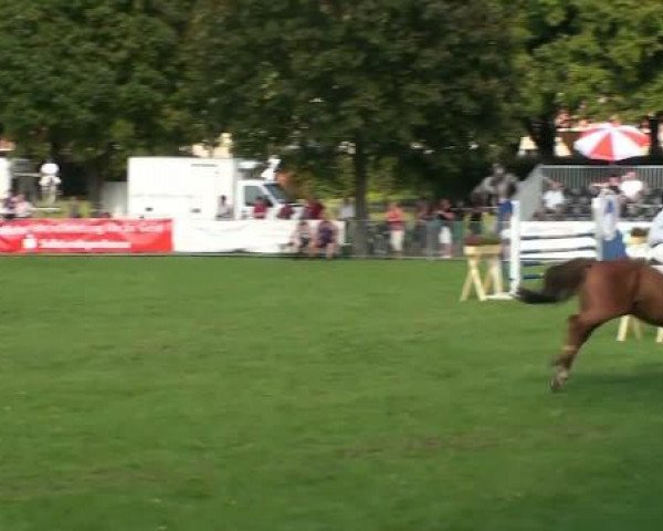 jumper Farino 89 (Saxony-Anhaltiner, 2001, from Futurist) jumper Farino 89 (Saxony-Anhaltiner, 2001, from Futurist)