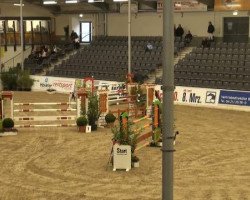 Springpferd For Max (Hannoveraner, 2003, von For Keeps)