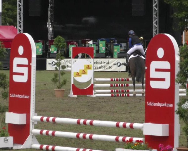 Reitturnier Aschersleben 2022