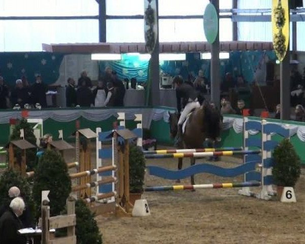 jumper Silvano 91 (Holsteiner, 2003, from Silvano)