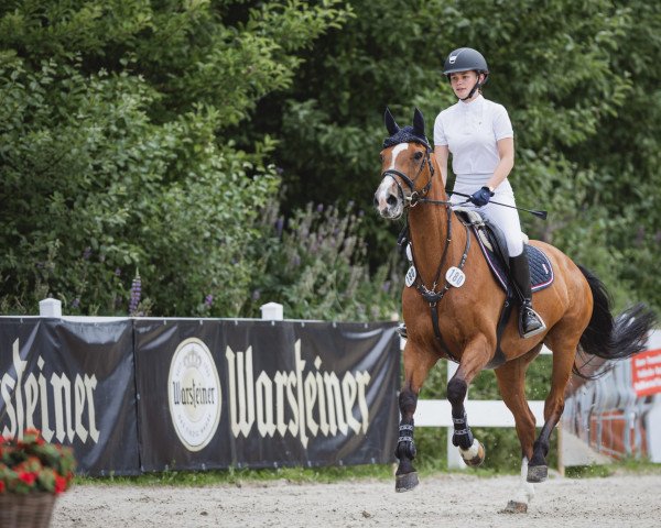 Springpferd Luz 3 (Holsteiner, 2008, von Lordanos)