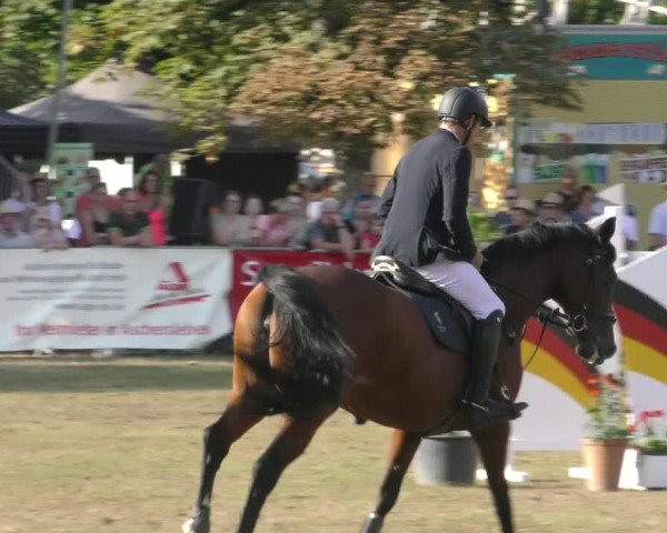 Reitturnier Aschersleben 2022
