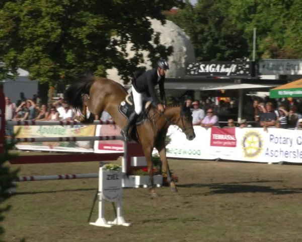 Reitturnier Aschersleben 2022