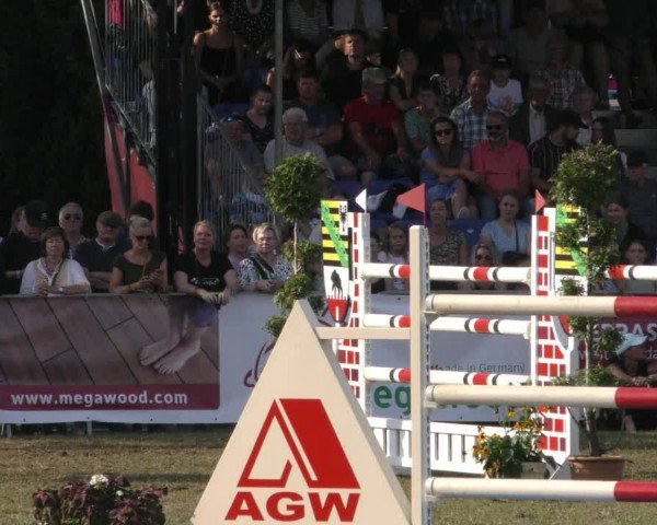Reitturnier Aschersleben 2022