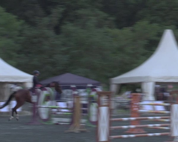 Reitturnier Horitschon 2022