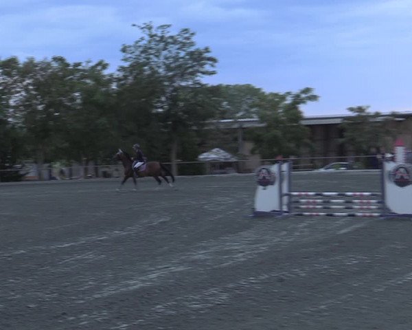 Reitturnier Horitschon 2022