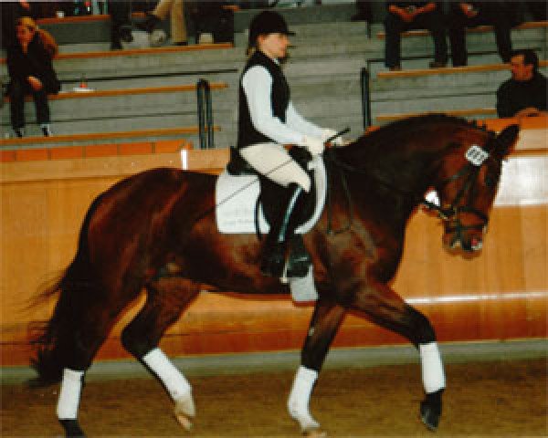 Pferd Dancing Queen 113 (Rheinländer, 2004, von Donquestador)