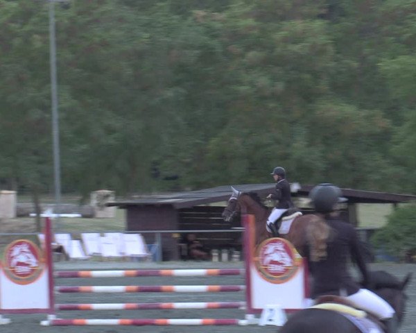 Reitturnier Horitschon 2022