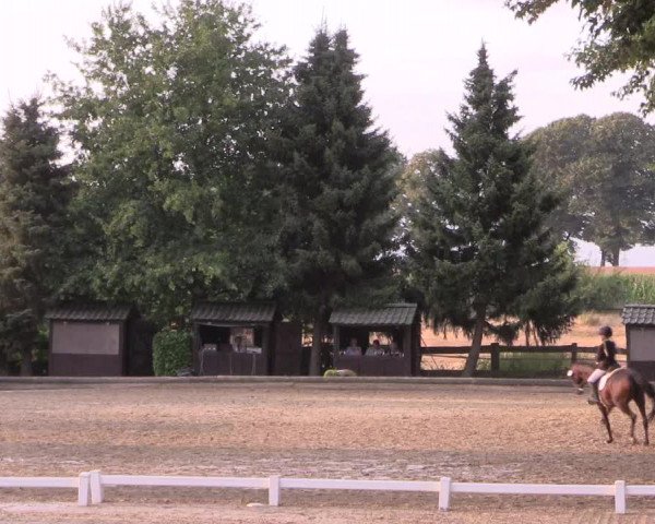 Reitturnier Datteln 2022